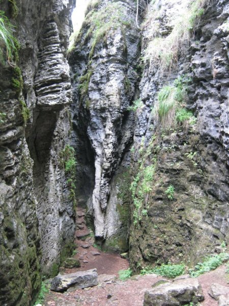 Borszéki Medvebarlang