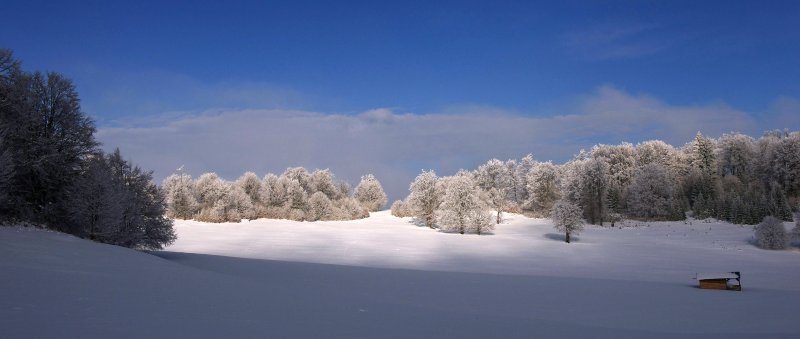 Páfrányos mező - Kelemen-havasok